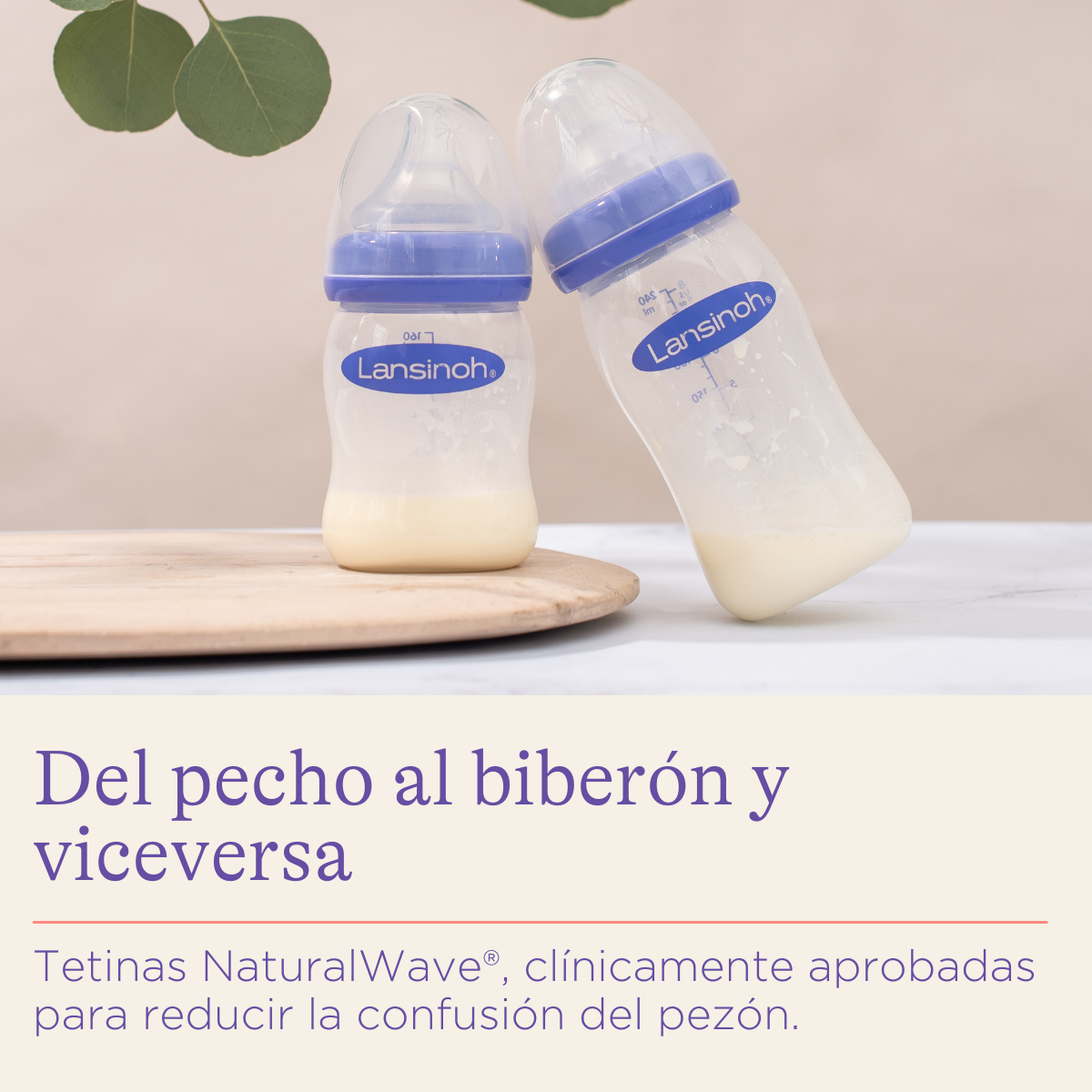 Biberón Lansinoh (5oz y 8 oz)