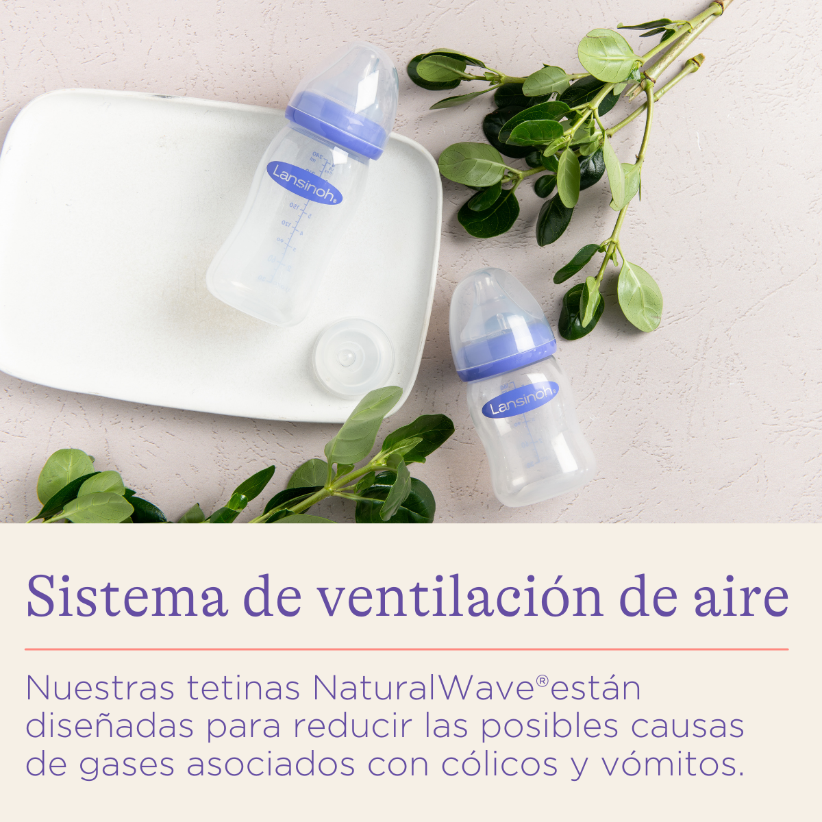 Biberón Lansinoh (5oz y 8 oz)