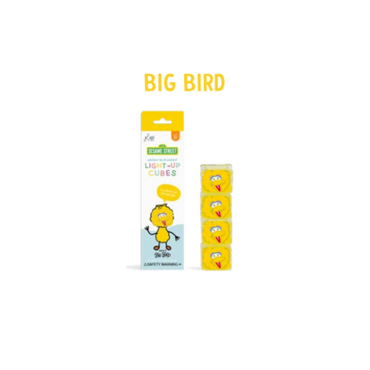 GLO PALS BIG BIRD 4 CUBOS