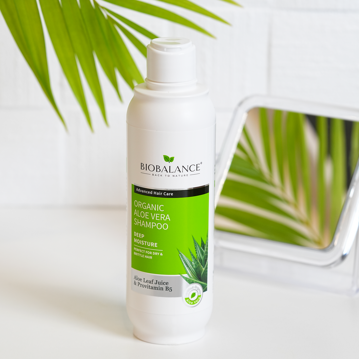 Champú de Aloe Vera Orgánico 330ml